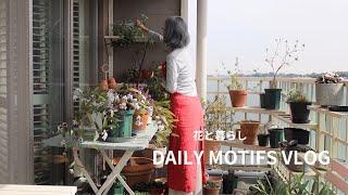 |言葉が人を癒すと思うから|編んで作ったもの|芽吹き始めた植物|60代のライフスタイル| #60代 #シニアライフ #vlog