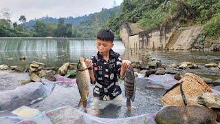 Nam - poor boy: Make a place to invite fish in, catch fish. Very smart, simple and effective