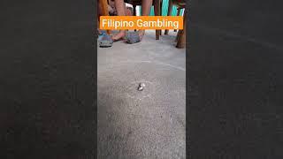 Filipino Crab Gambling. #gambling #travel #live #explore #philippines #beautiful #nature #legend