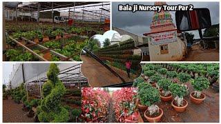 Balaji Nursery Tour Pune Part 2 || what's New In Balaji Nursery || NV Garden