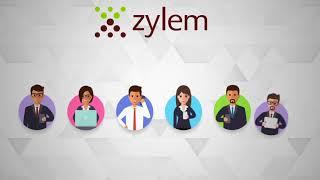Let Your Business Grow with the Help of Zylem MIS Solutions