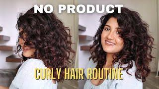 Curly Hair Routine with NO STYLERS | Minimize FRIZZ and DRYNESS | Madhushree Joshi