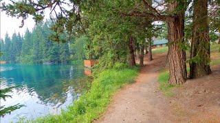 Ambient Walking along Beautiful Lake and Forest Nature with Relaxing Ambient Music 4K