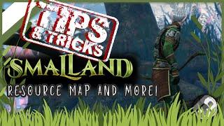 From Zero to Hero: Smalland Tips and Tricks for Beginners and Pros Alike!