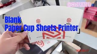 CSJ210FS Paper cup fan blank sheet digital printing machine