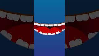 Types of False Teeth | Implant