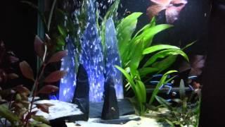 fennstones.co.uk formation LED bubbler