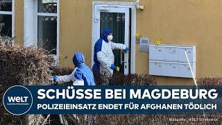 SCHÖNEBECK: Beamte mit Messer bedroht! Polizei erschießt Afghanen nach Eskalation!