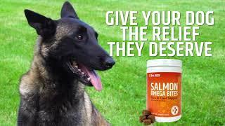 Pet MD Salmon Omega Bites for Dogs - Vet Approved Supplement - Relief from Itching & Allergies