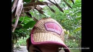 Costa Rica Travel: San Jose, Poas Volcano, Tortuguero, Arenal, Tamarindo