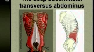 Conquering Low Back Pain
