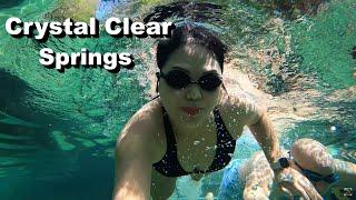 Wekiwa Springs State Park - Crystal Clear Swimming Spot in Orlando Florida