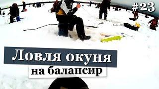 Ловля крупного окуня на балансир в толпе. Рыбалка зимой по первому льду. Зимняя рыбалка Свирь 2016.