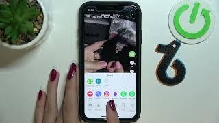 How to Copy Link On TikTok - Copy TikTok Video URL