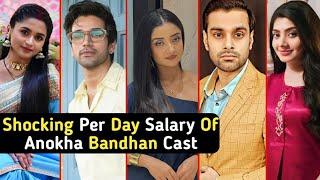 Shocking Per Day Salary Of Anokha Bandhan Serial Cast | Vardaan | Ketki | TM