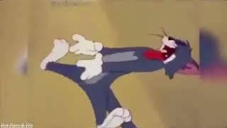 Tom and Jerry lost episode