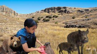 Buy two wild boars to raise on the farm and raise livestock