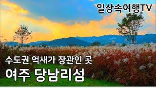 수도권에서 억새꽃 단풍 구경하기 좋은 곳 여주 당남리섬 여강길 따라 트레킹 코스 최적지, 가족단위/친구/연인과 힐링 추천여행지