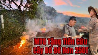 Tối ngày 20 tháng 11, Dọn Vệ Sinh Cốc Thầy Minh Tuệ và Sửa Chữa Nhà Em NÔ NÈ Thêm