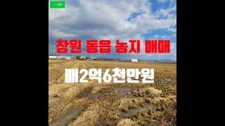 창원동읍 주위시세대비 저렴한가격대 농지