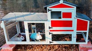 Asi Quedo la Casa Reciclada para los Conejitos de la Finquita Bonita