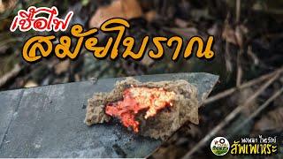 เชื้อไฟสมัยโบราณ | พงพนา ไพรวัลย์