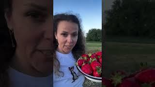 Как же я люблю наш новый дом #garden #gardenlife #дача #огород #shorts