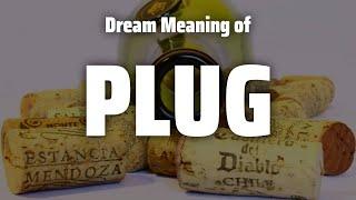 Plug Dream Meaning & Symbolism