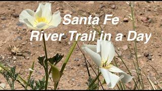 Santa Fe River Trail in a Day