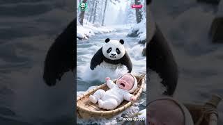 Brave panda saves life of baby after mother's tragic death #wildliferescue #panda #rescueefforts
