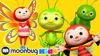 Bugs! Bugs! Bugs! Bugs! | LBB Songs | Learn with Little Baby Bum Nursery Rhymes - Moonbug Kids