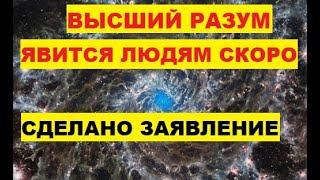 Высший Разум явится людям совсем скоро. Сделано заявление Илон Маск Искусственный Интеллект ИИ Робот