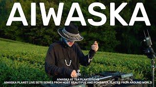 Aiwaska at Tea Plantations