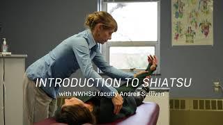 Introduction to Shiatsu at NWHSU