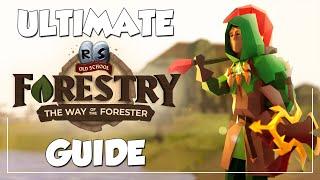 Woodcutting Changed FOREVER In OSRS - Ultimate Forestry Guide (New Update)