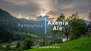 Pensiunea Axenia Ale Vișeu de Sus, Maramureș - cazare lângă Mocănița Maramureș / Accommodation