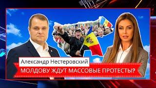 Александр Нестеровский: И.Влах - единый кандидат в президенты? «Gagauz Halk Birlii» и «Возрождение»