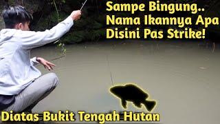 MASUK KE TENGAH HUTAN! PERTAMA KALI MANCING IKAN DI SPOT AIR TERJUN