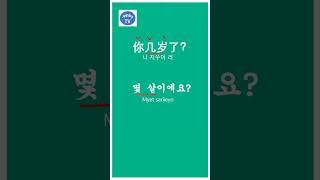 몇살 几岁#중국어회화#韩语学习#learn language#jenny tv#shorts