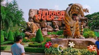 Tiger Show in Bangkok Thailand