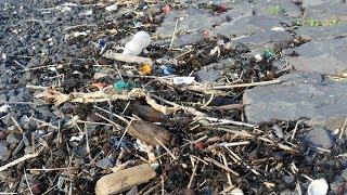 waddenzee plastic opruimen  Doe mee red de zee