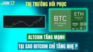 Tại Sao Bitcoin Tăng Chậm Hơn Altcoin? Thị Trường Có Thực Sự Hồi Phục | Hot In Market (HIM) #17