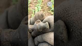100 BC - 100 AD Bronze Toggle unearthed! XP Deus 2 #deus2 #metaldetecting #celtic #history #relic