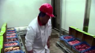 The Entrepreneurs - Stuart Dobson