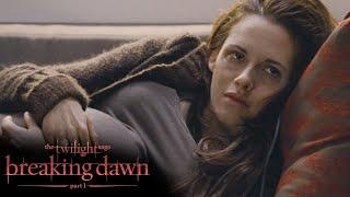 Craving | Twilight Saga: Breaking Dawn - Part 1