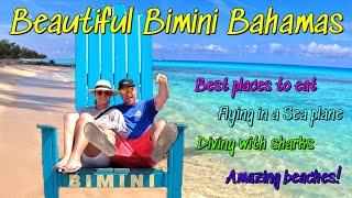 Exploring beautiful Bimini Bahamas (including diving with Hammerhead and Tiger sharks) & a seaplane!