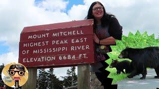 MY FAVORITE VIDEO YET!!! BEARS!! CLIMBING A BIG OLE MOUNTAIN!! BLUE RIDGE PARKWAY!! SUCH FUN!!!