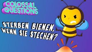 Warum sterben Bienen, nachdem sie stechen? | GIGANTISCHE FRAGEN