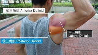 Shoulder Training - Exercises (More Rear Delts!)