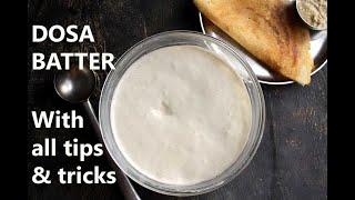 DOSA BATTER RECIPE |  HOW TO MAKE DOSA BATTER @ HOME (with tips and tricks)